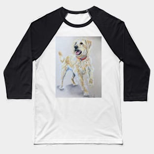 Labradoodle Baseball T-Shirt